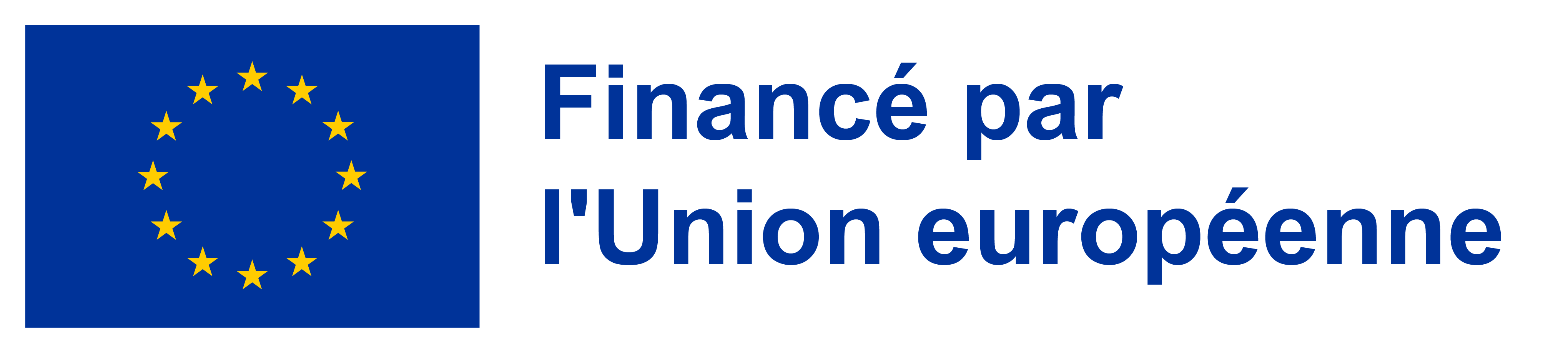 EU International Partnerships