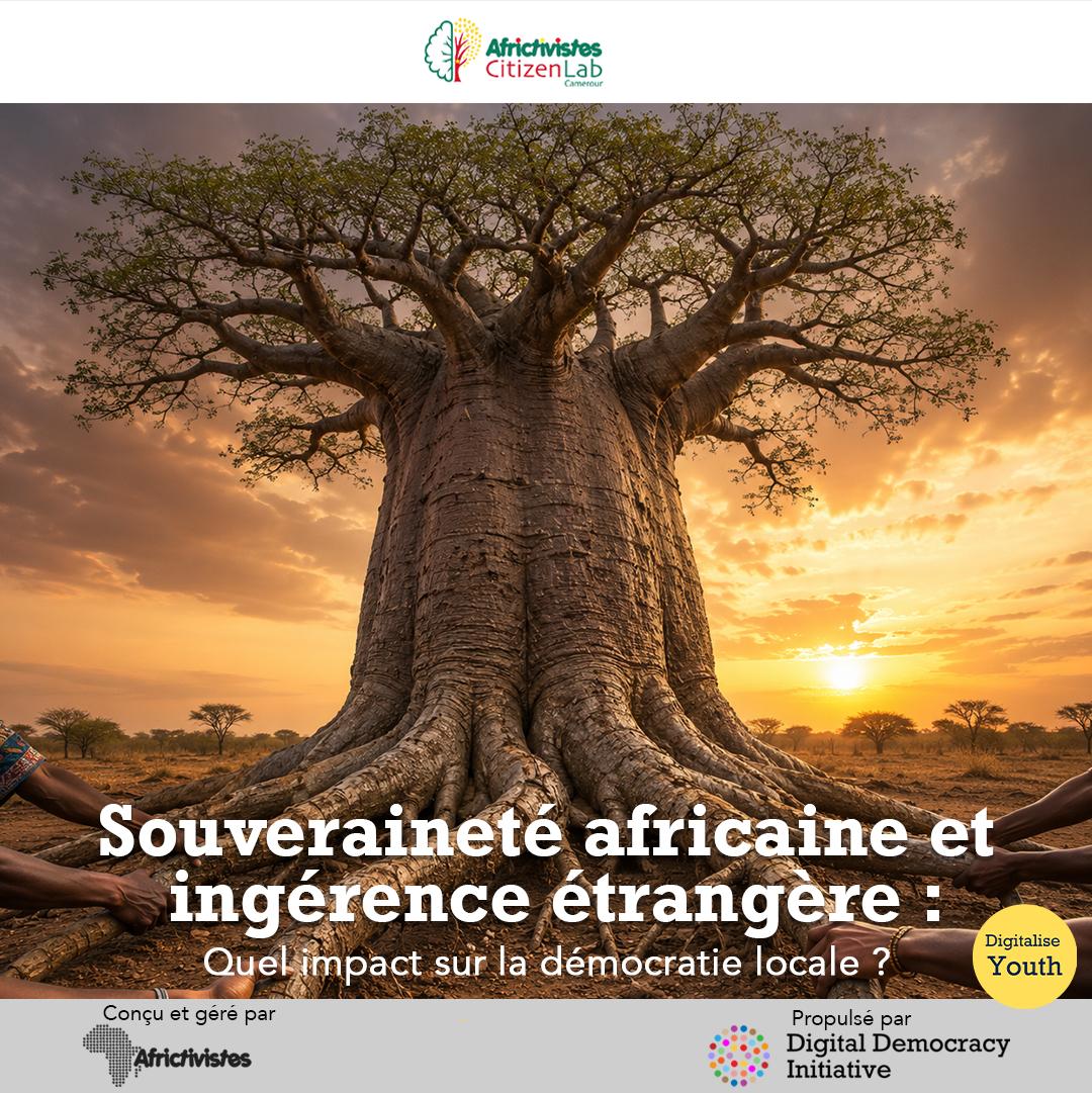 Souveraineté africaine et ingérence étrangère : quel impact sur la démocratie locale ? 